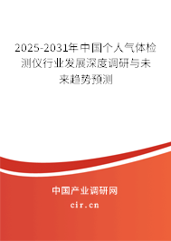 2025-2031年中國個人氣體檢測儀行業(yè)發(fā)展深度調研與未來趨勢預測