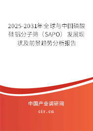 2025-2031年全球與中國(guó)磷酸硅鋁分子篩（SAPO）發(fā)展現(xiàn)狀及前景趨勢(shì)分析報(bào)告