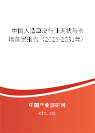 中國人造草皮行業(yè)現(xiàn)狀與市場前景報(bào)告(2025-2031年) 中國人造草皮行業(yè)現(xiàn)狀與市場前景報(bào)告(2025-2031年)