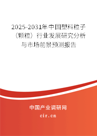 2025-2031年中國塑料粒子（顆粒）行業(yè)發(fā)展研究分析與市場前景預測報告