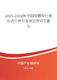 2025-2031年中國微模塊行業(yè)現(xiàn)狀分析與發(fā)展前景研究報(bào)告