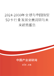 2024-2030年全球與中國微型SD卡行業(yè)發(fā)展全面調(diào)研與未來趨勢報(bào)告