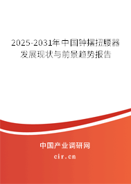 2025-2031年中國鐘擺扭腰器發(fā)展現(xiàn)狀與前景趨勢報告