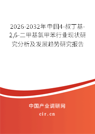 2026-2032年中國4-叔丁基-2,6-二甲基氯甲苯行業(yè)現(xiàn)狀研究分析及發(fā)展趨勢研究報(bào)告 2026-2032年中國4-叔丁基-2,6-二甲基氯甲苯行業(yè)現(xiàn)狀研究分析及發(fā)展趨勢研究報(bào)告