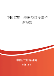 中國家用小電器項(xiàng)目投資咨詢報(bào)告