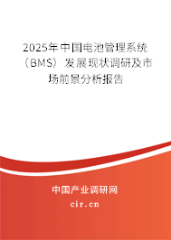 2025年中國(guó)電池管理系統(tǒng)（BMS）發(fā)展現(xiàn)狀調(diào)研及市場(chǎng)前景分析報(bào)告