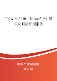 2026-2032年中國IaaS行業(yè)研究與趨勢預(yù)測報(bào)告 2026-2032年中國IaaS行業(yè)研究與趨勢預(yù)測報(bào)告