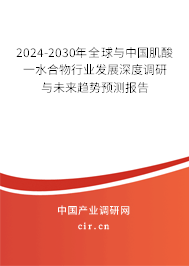 2024-2030年全球與中國(guó)肌酸一水合物行業(yè)發(fā)展深度調(diào)研與未來(lái)趨勢(shì)預(yù)測(cè)報(bào)告