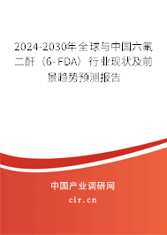 2024-2030年全球與中國(guó)六氟二酐(6-FDA)行業(yè)現(xiàn)狀及前景趨勢(shì)預(yù)測(cè)報(bào)告 2024-2030年全球與中國(guó)六氟二酐(6-FDA)行業(yè)現(xiàn)狀及前景趨勢(shì)預(yù)測(cè)報(bào)告
