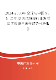 2024-2030年全球與中國(guó)N，N-二甲基丙烯酰胺行業(yè)發(fā)展深度調(diào)研與未來趨勢(shì)分析報(bào)告