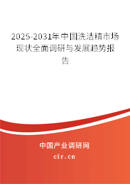 2025-2031年中國(guó)洗潔精市場(chǎng)現(xiàn)狀全面調(diào)研與發(fā)展趨勢(shì)報(bào)告