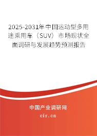 2025-2031年中國運(yùn)動型多用途乘用車（SUV）市場現(xiàn)狀全面調(diào)研與發(fā)展趨勢預(yù)測報(bào)告