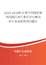 2024-2030年全球與中國窄帶物聯(lián)網(wǎng)芯片行業(yè)現(xiàn)狀全面調(diào)研與發(fā)展趨勢預(yù)測報告