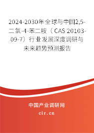 2024-2030年全球與中國2,5-二氯-4-苯二胺（ CAS 20103-09-7）行業(yè)發(fā)展深度調(diào)研與未來趨勢預(yù)測報(bào)告