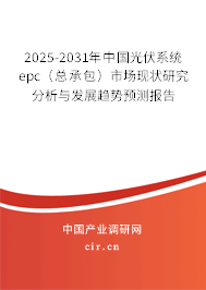 2025-2031年中國(guó)光伏系統(tǒng)epc（總承包）市場(chǎng)現(xiàn)狀研究分析與發(fā)展趨勢(shì)預(yù)測(cè)報(bào)告