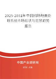 2025-2031年中國機(jī)場(chǎng)地面處理系統(tǒng)市場(chǎng)現(xiàn)狀與前景趨勢(shì)報(bào)告