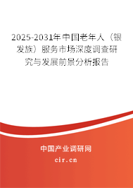 2025-2031年中國老年人（銀發(fā)族）服務(wù)市場深度調(diào)查研究與發(fā)展前景分析報告