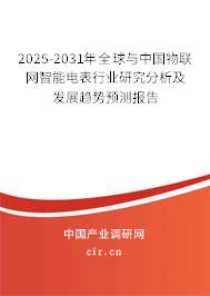 2025-2031年全球與中國物聯(lián)網(wǎng)智能電表行業(yè)研究分析及發(fā)展趨勢預(yù)測報(bào)告