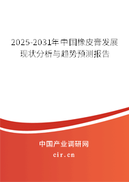 2025-2031年中國橡皮膏發(fā)展現(xiàn)狀分析與趨勢預測報告