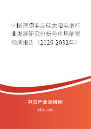 2025-2031年中國薄膜非晶硅太陽電池行業(yè)現(xiàn)狀及行業(yè)前景分析報告 2025-2031年中國薄膜非晶硅太陽電池行業(yè)現(xiàn)狀及行業(yè)前景分析報告