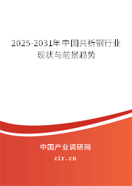 2025-2031年中國共析鋼行業(yè)現(xiàn)狀與前景趨勢