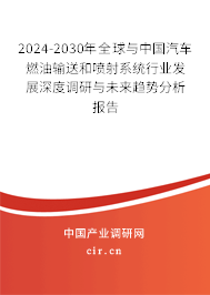 2024-2030年全球與中國汽車燃油輸送和噴射系統(tǒng)行業(yè)發(fā)展深度調(diào)研與未來趨勢分析報告