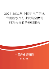 2025-2031年中國熱電廠污水專用脫水劑行業(yè)發(fā)展全面調(diào)研及未來趨勢預測報告