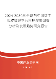 2024-2030年全球與中國(guó)數(shù)字版權(quán)管理平臺(tái)市場(chǎng)深度調(diào)查分析及發(fā)展趨勢(shì)研究報(bào)告