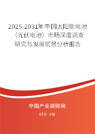 2025-2031年中國太陽能電池（光伏電池）市場深度調(diào)查研究與發(fā)展前景分析報(bào)告