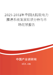 2025-2031年中國太陽能電力推進系統(tǒng)發(fā)展現(xiàn)狀分析與市場前景報告