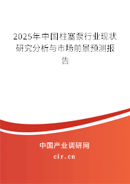 2025年中國(guó)柱塞泵行業(yè)現(xiàn)狀研究分析與市場(chǎng)前景預(yù)測(cè)報(bào)告 2025年中國(guó)柱塞泵行業(yè)現(xiàn)狀研究分析與市場(chǎng)前景預(yù)測(cè)報(bào)告