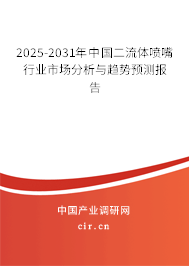 2025-2031年中國二流體噴嘴行業(yè)市場分析與趨勢預測報告