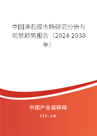 中國沸石膜市場研究分析與前景趨勢報(bào)告(2024-2030年) 中國沸石膜市場研究分析與前景趨勢報(bào)告(2024-2030年)