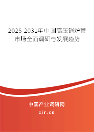 2025-2031年中國(guó)高壓鍋爐管市場(chǎng)全面調(diào)研與發(fā)展趨勢(shì)