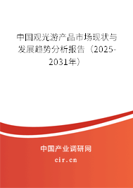 中國觀光游產(chǎn)品市場現(xiàn)狀與發(fā)展趨勢分析報告（2025-2031年）