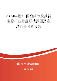 2024年版中國(guó)合成氣及其衍生物行業(yè)發(fā)展現(xiàn)狀調(diào)研及市場(chǎng)前景分析報(bào)告