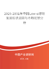 2025-2031年中國Low-α球硅發(fā)展現(xiàn)狀調(diào)研與市場前景分析
