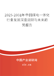 2025-2031年中國煤電一體化行業(yè)發(fā)展深度調(diào)研與未來趨勢報(bào)告