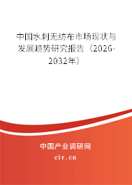 中國水刺無紡布市場現(xiàn)狀與發(fā)展趨勢研究報(bào)告（2026-2032年）