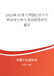 2024年全球與中國應(yīng)變計(jì)市場調(diào)查分析與發(fā)展趨勢研究報(bào)告 2024年全球與中國應(yīng)變計(jì)市場調(diào)查分析與發(fā)展趨勢研究報(bào)告
