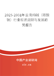 2025-2031年云南純堿（碳酸鈉）行業(yè)現(xiàn)狀調(diào)研與發(fā)展趨勢(shì)報(bào)告