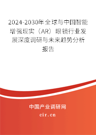 2024-2030年全球與中國智能增強現(xiàn)實（AR）眼鏡行業(yè)發(fā)展深度調(diào)研與未來趨勢分析報告