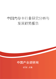 中國(guó)內(nèi)存卡行業(yè)研究分析與發(fā)展趨勢(shì)報(bào)告