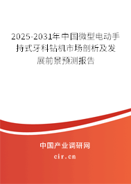 2023-2029年中國微型電動手持式牙科鉆機(jī)市場剖析及發(fā)展前景預(yù)測報(bào)告