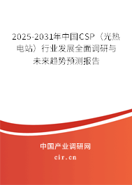 2025-2031年中國CSP（光熱電站）行業(yè)發(fā)展全面調(diào)研與未來趨勢預(yù)測報告
