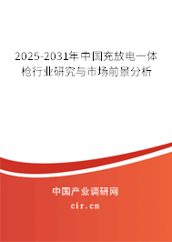 2025-2031年中國(guó)充放電一體槍行業(yè)研究與市場(chǎng)前景分析 2025-2031年中國(guó)充放電一體槍行業(yè)研究與市場(chǎng)前景分析