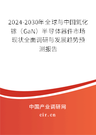 2024-2030年全球與中國氮化鎵(GaN)半導體器件市場現(xiàn)狀全面調(diào)研與發(fā)展趨勢預測報告 2024-2030年全球與中國氮化鎵(GaN)半導體器件市場現(xiàn)狀全面調(diào)研與發(fā)展趨勢預測報告