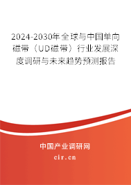 2024-2030年全球與中國(guó)單向磁帶（UD磁帶）行業(yè)發(fā)展深度調(diào)研與未來(lái)趨勢(shì)預(yù)測(cè)報(bào)告