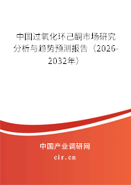 中國過氧化環(huán)己酮市場研究分析與趨勢預測報告（2025-2031年）