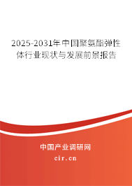 2025-2031年中國聚氨酯彈性體行業(yè)現(xiàn)狀與發(fā)展前景報(bào)告